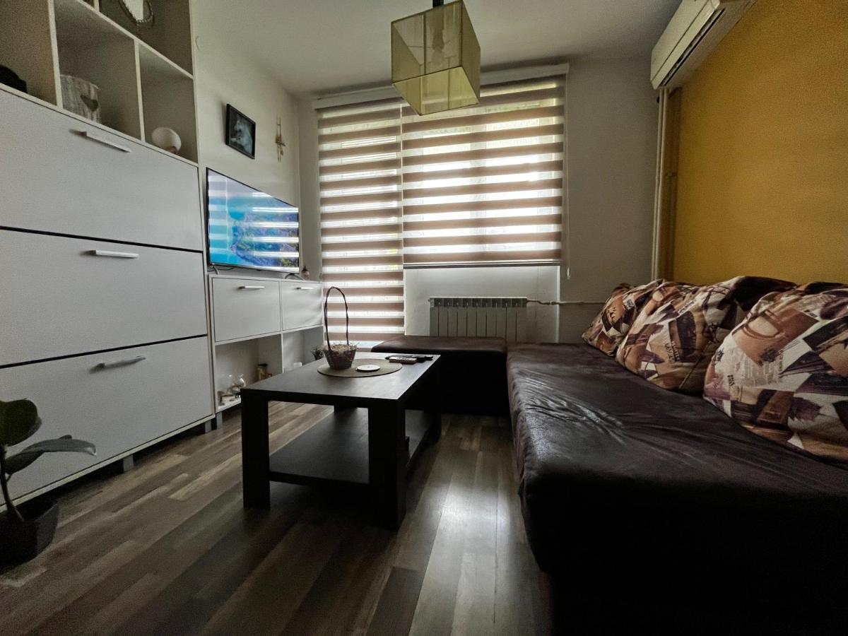 Apartamento Sova Vrsac Exterior foto