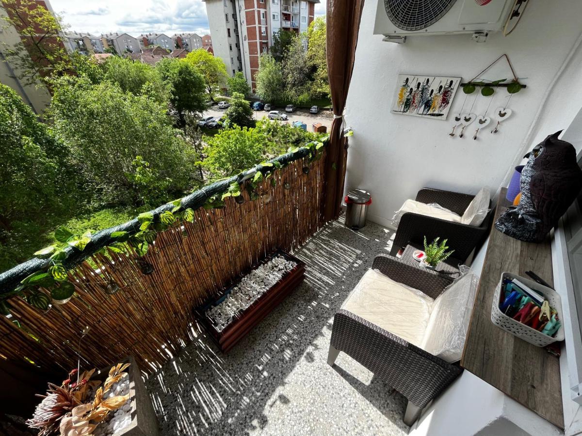 Apartamento Sova Vrsac Exterior foto