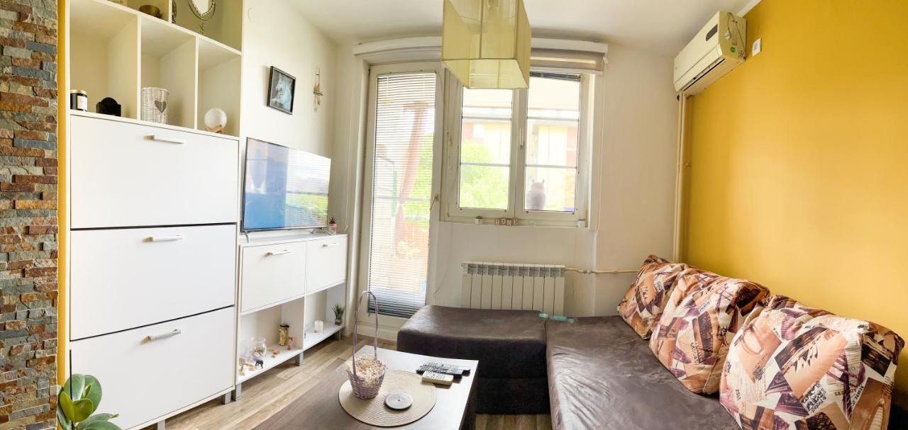 Apartamento Sova Vrsac Exterior foto