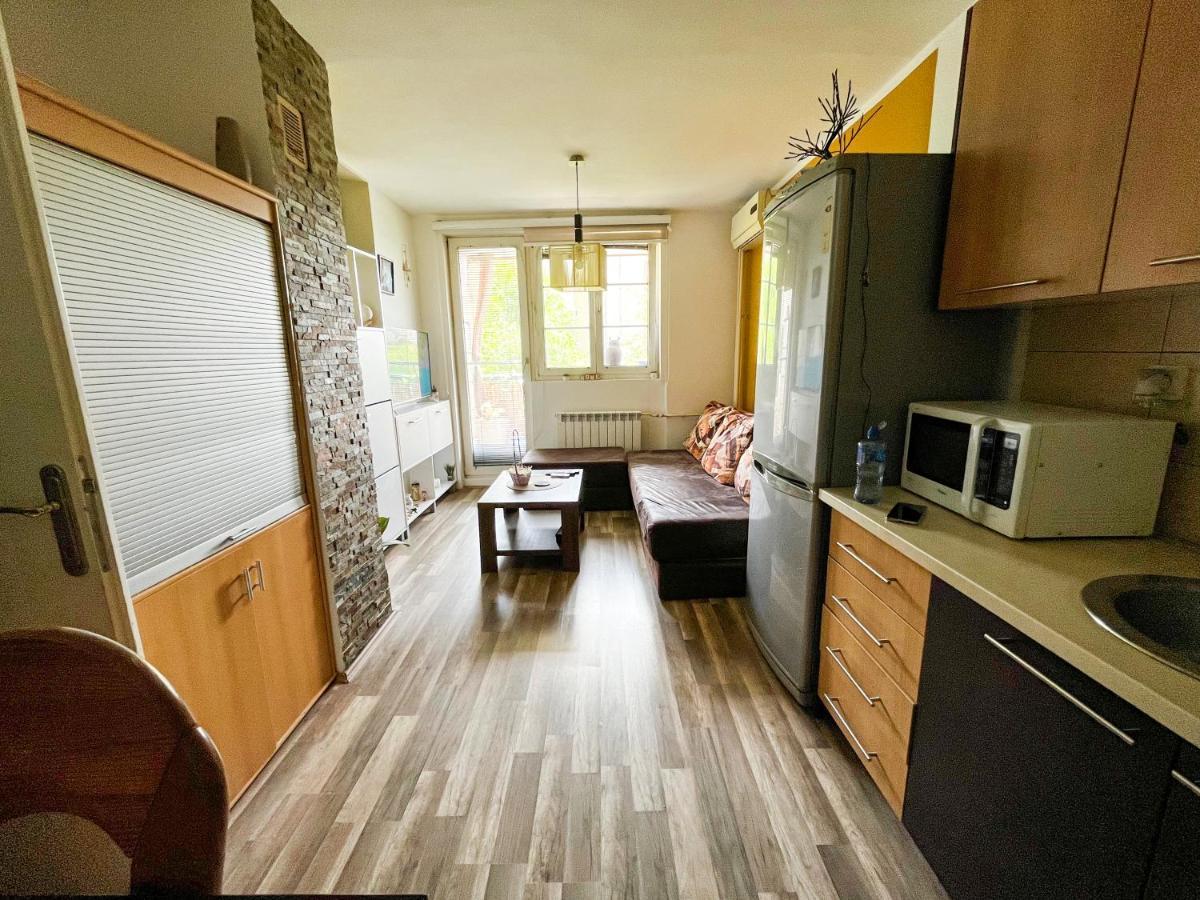 Apartamento Sova Vrsac Exterior foto